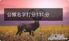 公猴名字打分110分