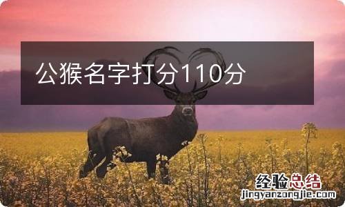 公猴名字打分110分