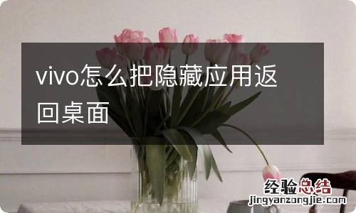 vivo怎么把隐藏应用返回桌面