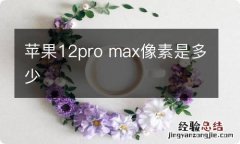 苹果12pro max像素是多少