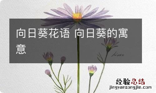 向日葵花语 向日葵的寓意