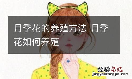 月季花的养殖方法 月季花如何养殖