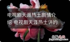 电视剧天涯热土剧情介绍 电视剧天涯热土讲的什么