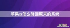 iPhonexr怎么降回原来的系统 苹果xr系统怎么降级原来系统