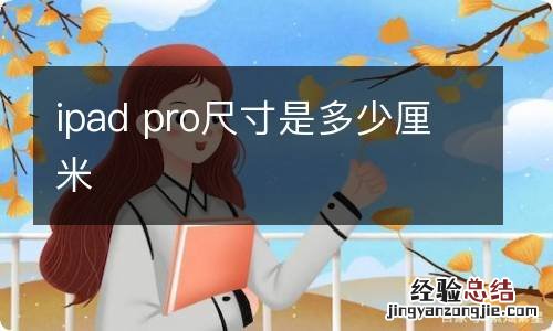 ipad pro尺寸是多少厘米