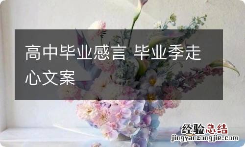 高中毕业感言 毕业季走心文案