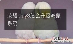 荣耀play3怎么升级鸿蒙系统