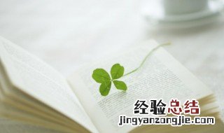 四叶草有什么含义寓意 四叶草的含义