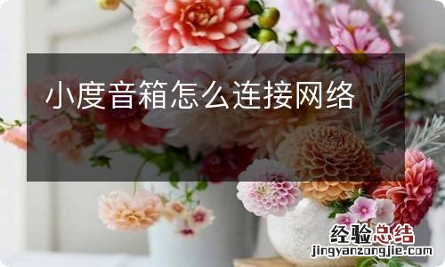 小度音箱怎么连接网络