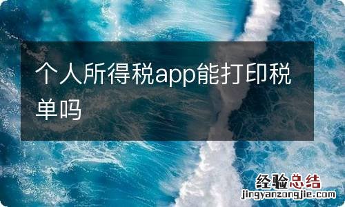 个人所得税app能打印税单吗