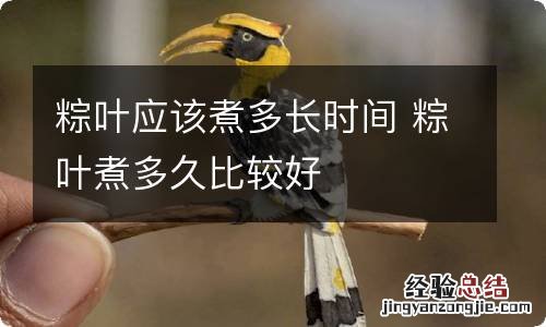 粽叶应该煮多长时间 粽叶煮多久比较好