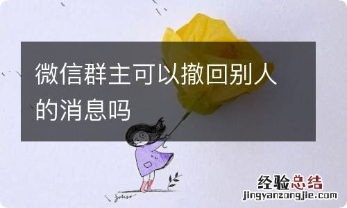 微信群主可以撤回别人的消息吗