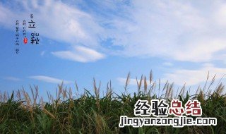 家庭制作稻壳炭方法 稻壳炭的制作方法