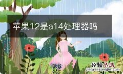 苹果12是a14处理器吗