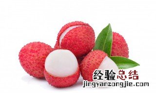 番荔枝几年结果 番荔枝一年结几次果