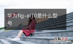 华为fig-al10是什么型号