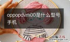 oppopdvm00是什么型号手机