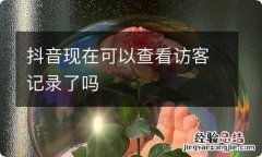 抖音现在可以查看访客记录了吗