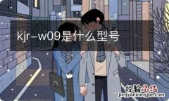 kjr-w09是什么型号