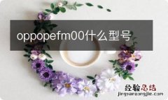 oppopefm00什么型号