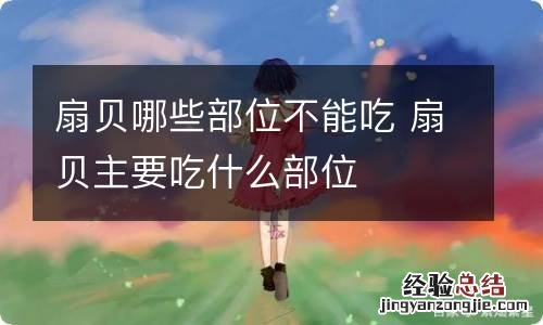 扇贝哪些部位不能吃 扇贝主要吃什么部位
