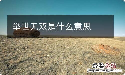 举世无双是什么意思
