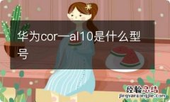 华为cor—al10是什么型号