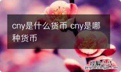 cny是什么货币 cny是哪种货币