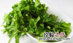 冬天怎么种香菜 香菜怎么种