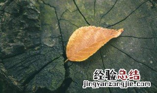 12月句句入人心的说说 适合在十二月发的说说