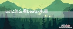 ios12怎么看beatsx电量