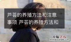 芦荟的养殖方法和注意事项 芦荟的养殖方法和注意事项是什么