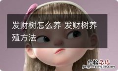 发财树怎么养 发财树养殖方法