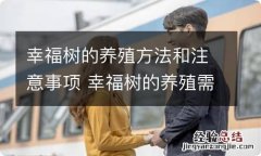 幸福树的养殖方法和注意事项 幸福树的养殖需要注意什么