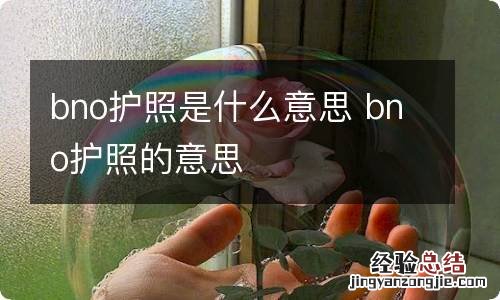 bno护照是什么意思 bno护照的意思