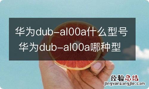 华为dub-al00a什么型号 华为dub-al00a哪种型号