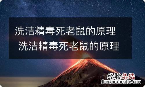 洗洁精毒死老鼠的原理 洗洁精毒死老鼠的原理是什么