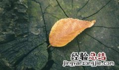 12月加油的句子 适合12月发朋友圈的说说