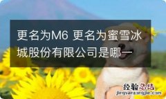 更名为M6 更名为蜜雪冰城股份有限公司是哪一年