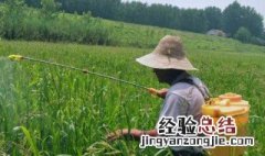 丁草胺在水稻田使用方法 丁草胺在水稻田使用方法是什么