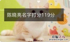 陈晓亮名字打分119分