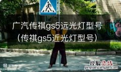 传祺gs5近光灯型号 广汽传祺gs5远光灯型号