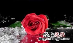 11朵玫瑰花多少钱 11朵玫瑰花多少钱呢