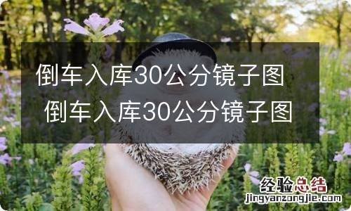 倒车入库30公分镜子图 倒车入库30公分镜子图解