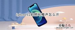 iphone12拍照咔嚓声怎么开