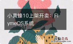 小黄蜂10上架开卖：FlymeOS系统