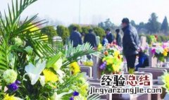 清明节扫墓需要买哪些物品 清明节扫墓需要买哪些物品和东西