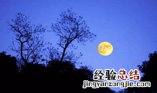 秋夜月清冷的句子 描写月光清冷的句子语录