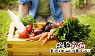 夏季孕妇吃什么菜 夏季孕妇吃什么菜好