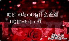 哈佛H6和m6 哈佛h6与m6有什么差别